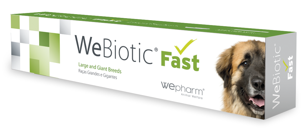 Wepharm WeBiotic Fast oralpasta 30 ml för hundar och katter
