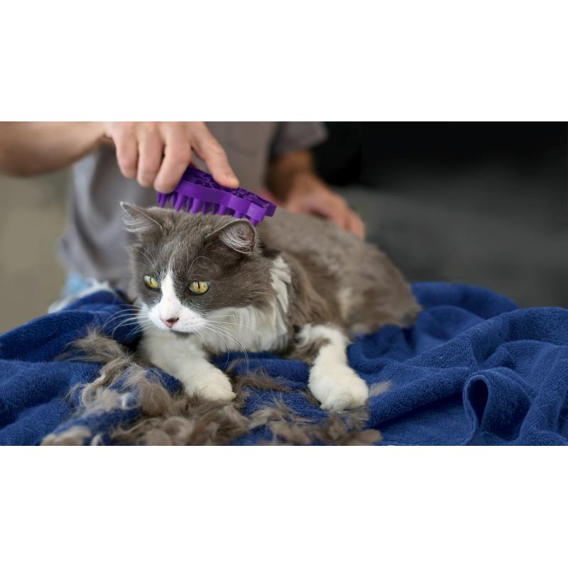 KONG ZoomGroom Massageborste för katter
