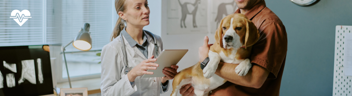 The role of diet in supporting digestive disorders in pets