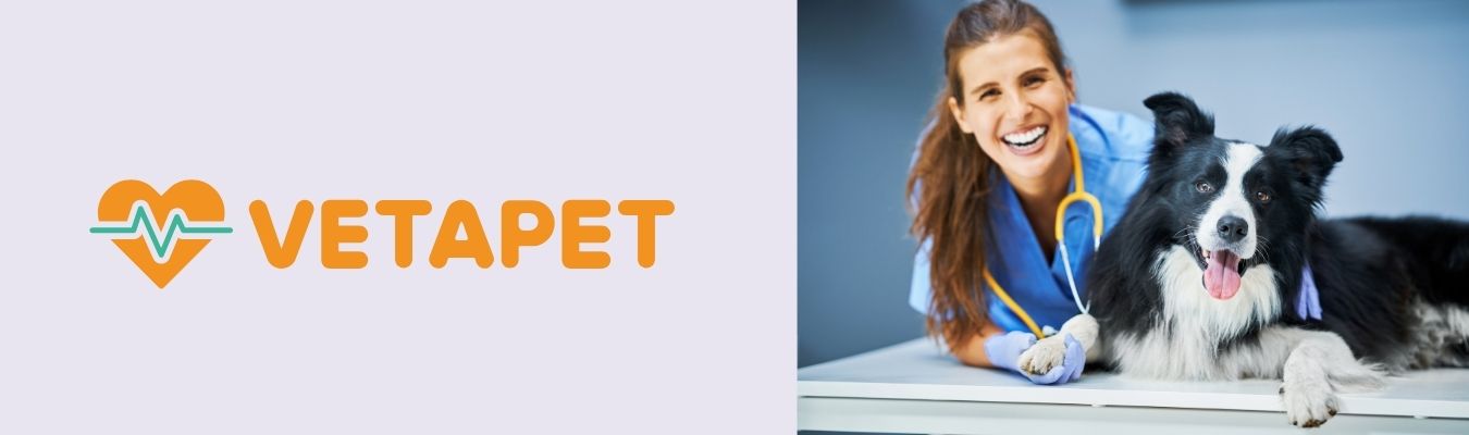 The story of VetaPet - from three parcels to an international pet care company
