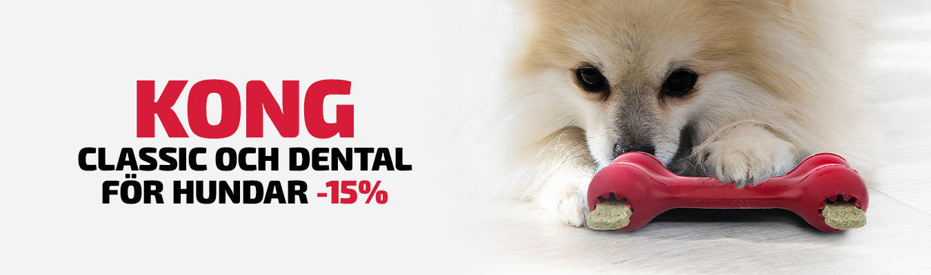 Kong Classic & Dental -15%
