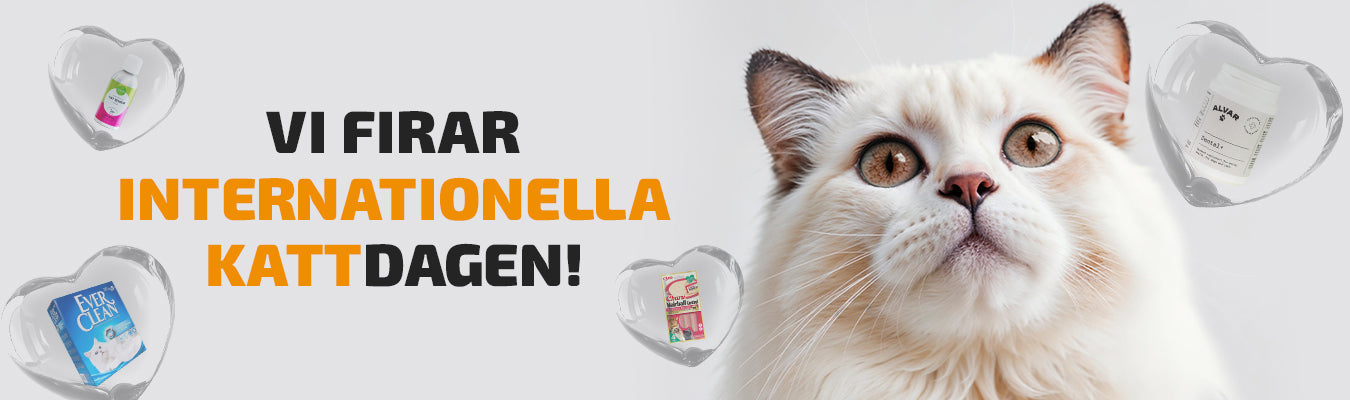 International Cat Day upp till -50%