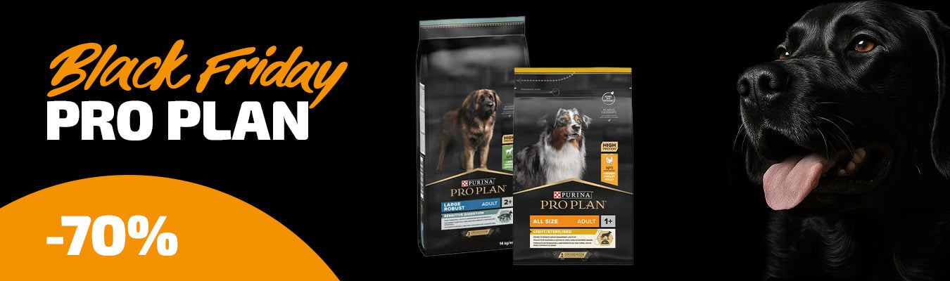 Batch of Pro Plan dog dry food -70 %