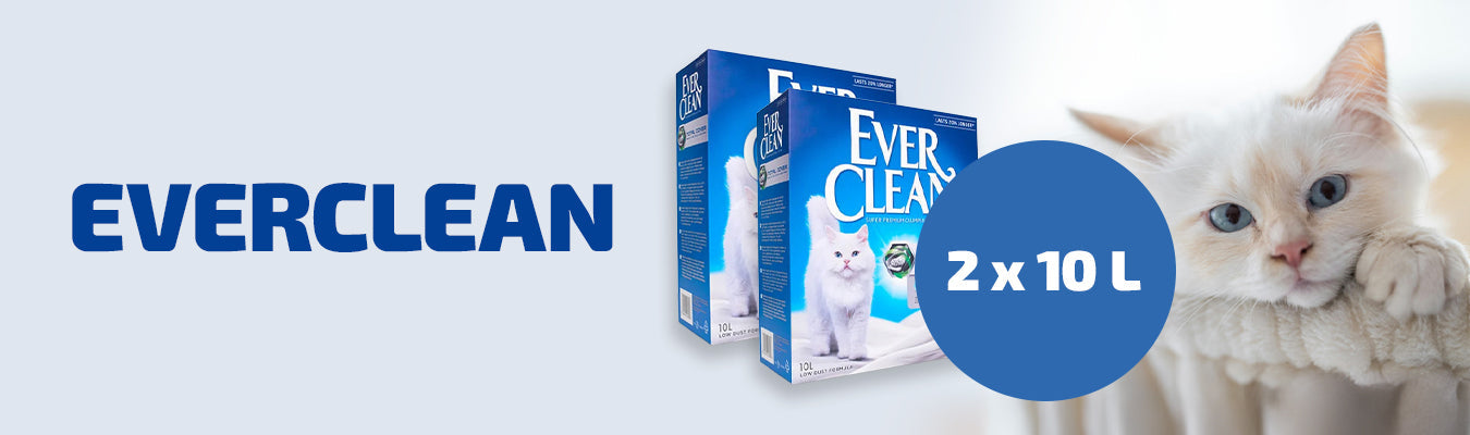 Everclean 2 x 10L