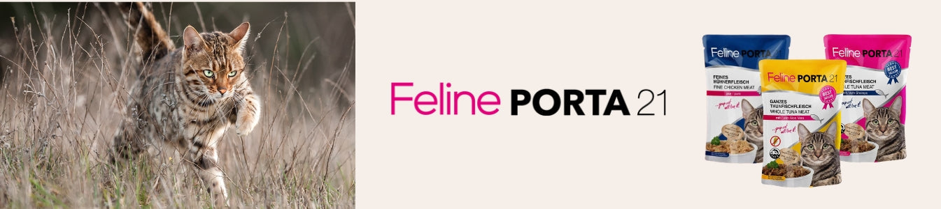 Feline Porta 21