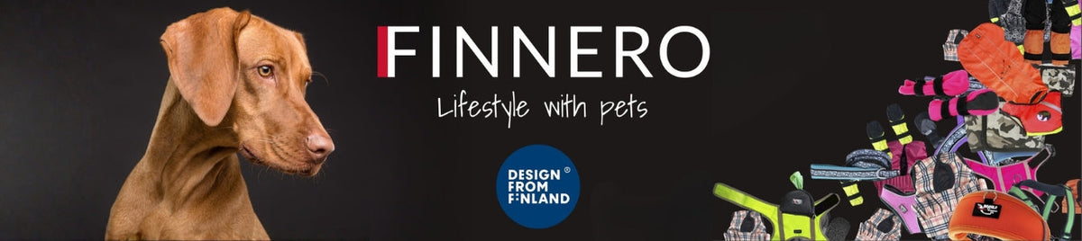 FinNero