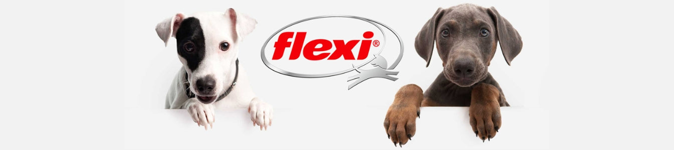 Flexi