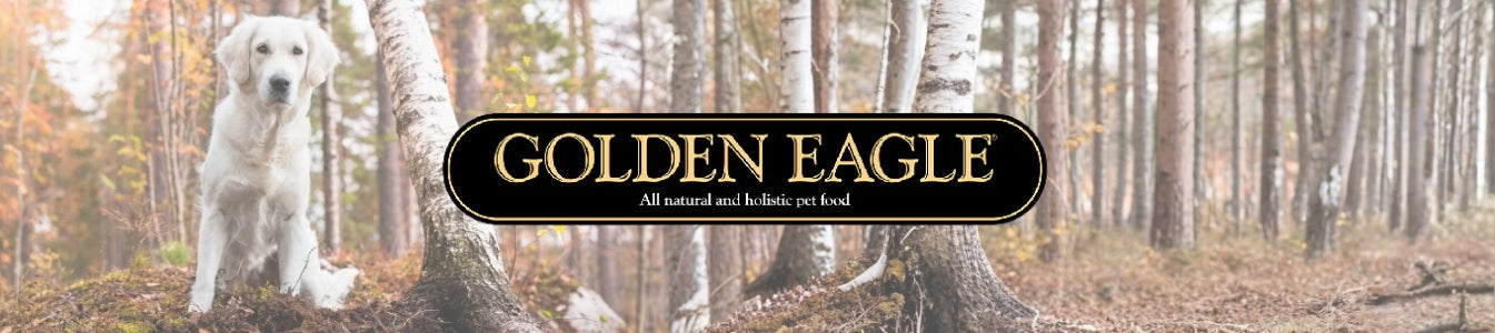 Golden Eagle