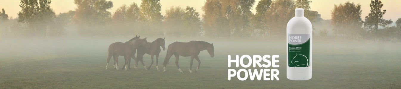 Horse Power