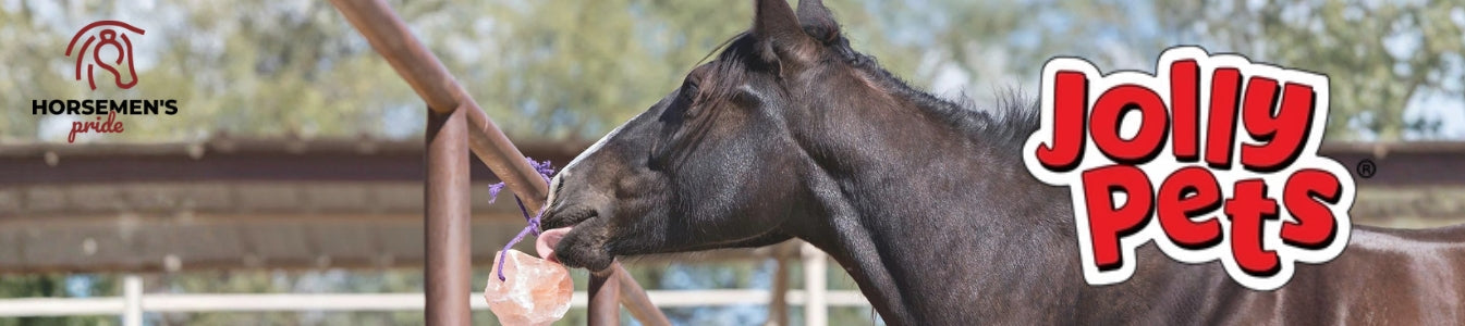 Horsemen's Pride