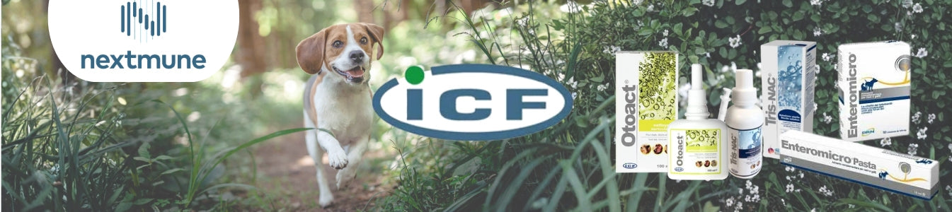 ICF