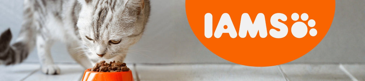 Iams