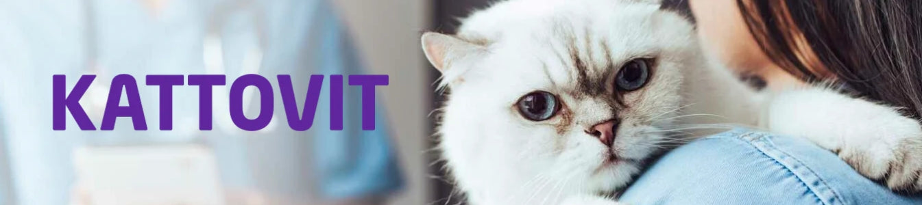 Kattovit