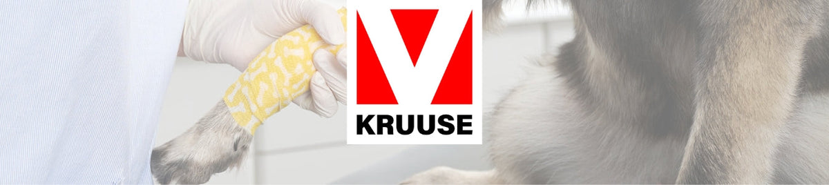 Kruuse
