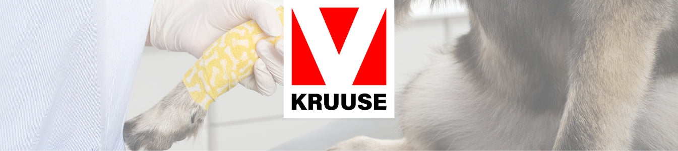 Kruuse