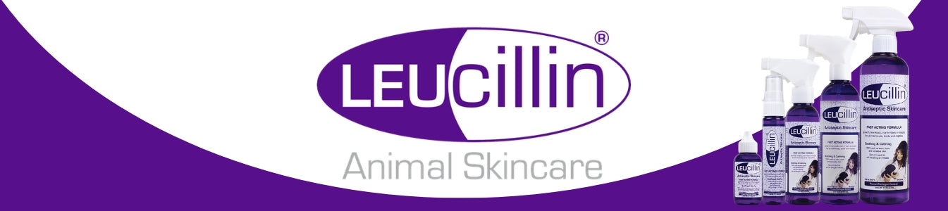 Leucillin
