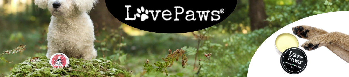 LovePaws