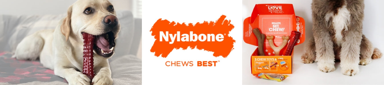 Nylabone