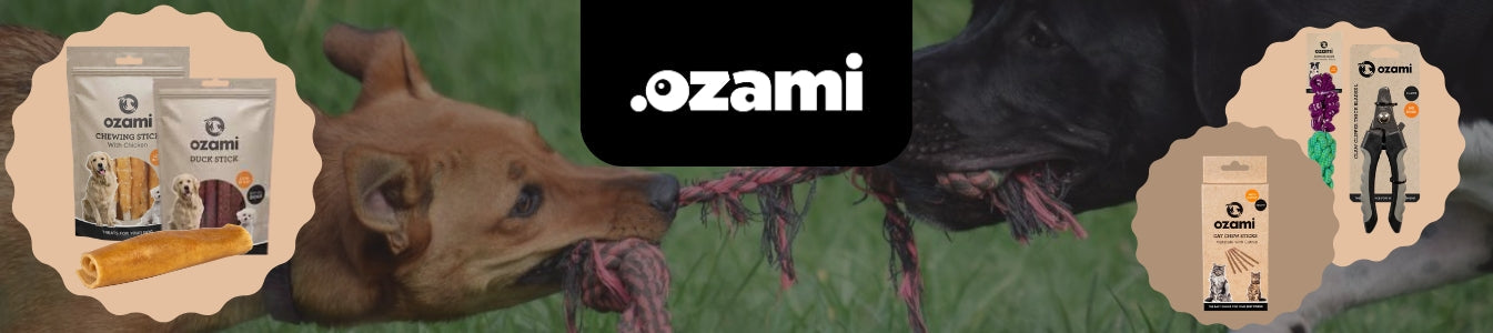 Ozami