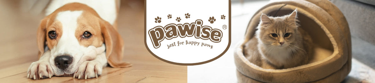 Pawise