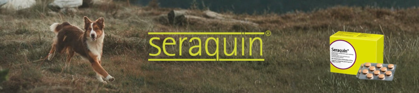 Seraquin
