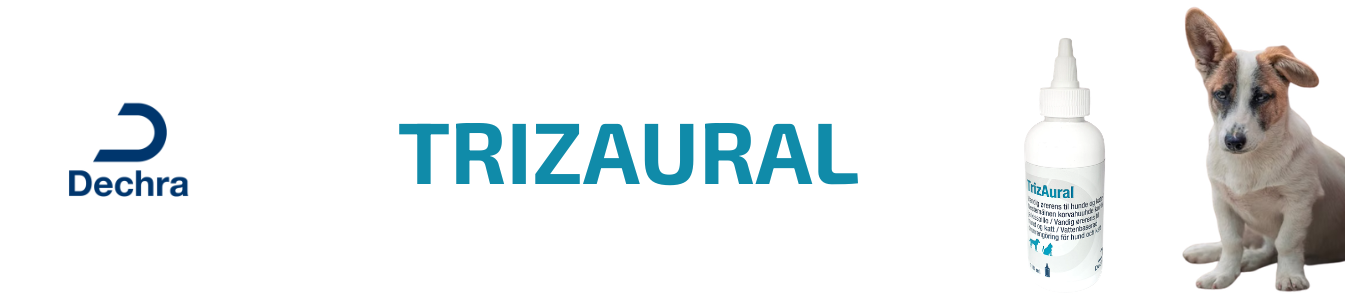 TrizAural