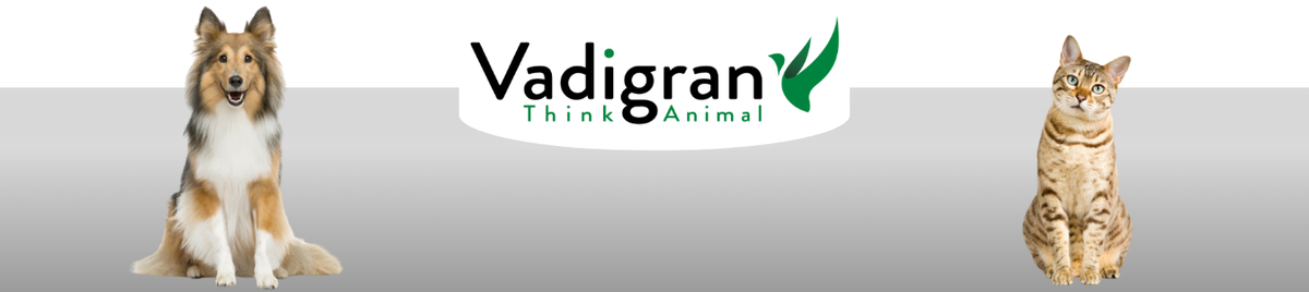 Vadigran