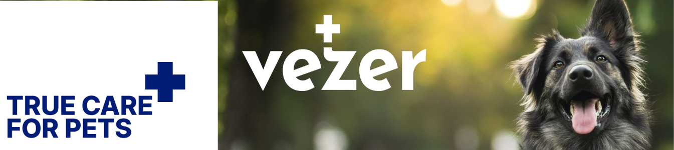 Vezer