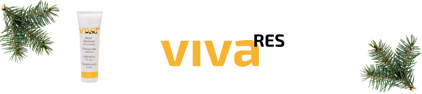 Viva