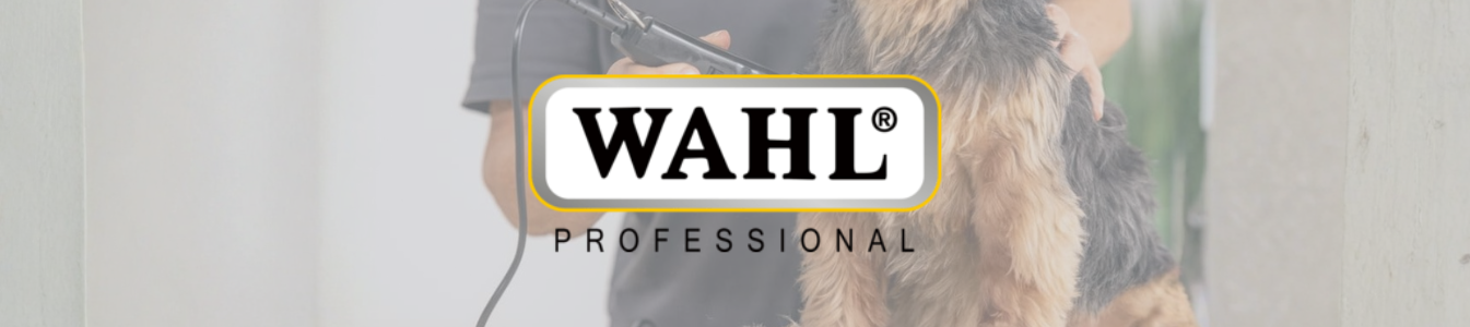 Wahl