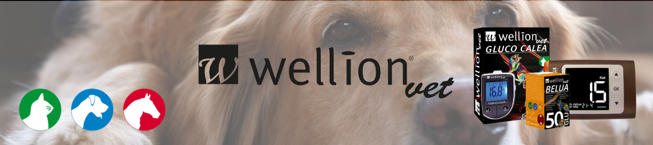 Wellion