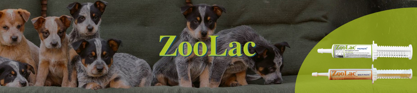 ZooLac