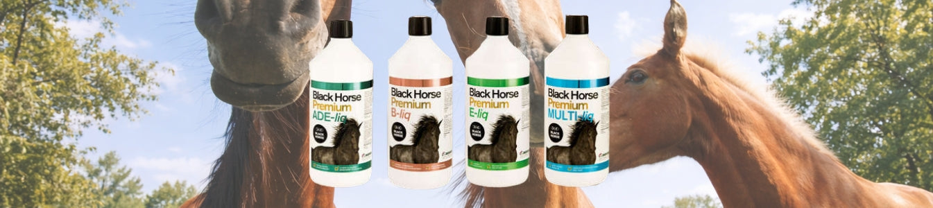 Black Horse
