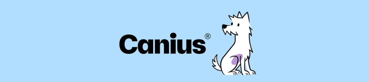 Canius