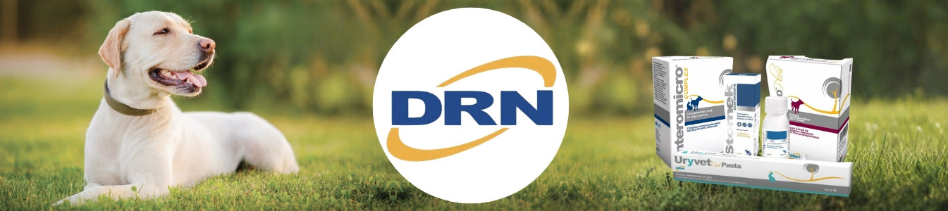 DRN