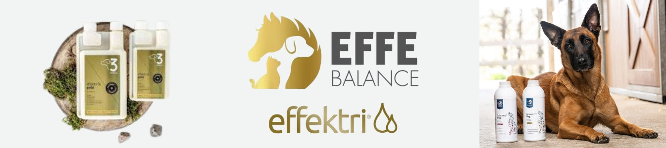 Effektri