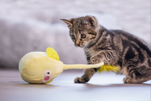 Beeztees LOENA Kitten Wobbler Toy – 28 cm