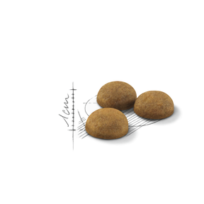 Royal Canin Indoor Long Hair Torrfoder katt 10 kg