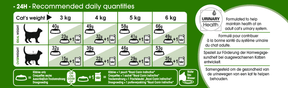 Royal Canin Outdoor Torrfoder för Katt 10 kg