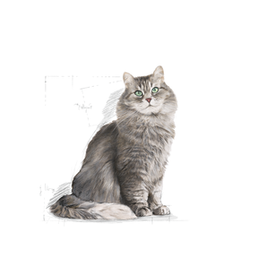 Royal Canin Sensible katt 400 g
