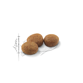 Royal Canin Sterilised Adult torrfoder för katt 2 kg