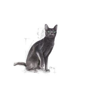 Royal Canin Sterilised Adult torrfoder för katt 2 kg