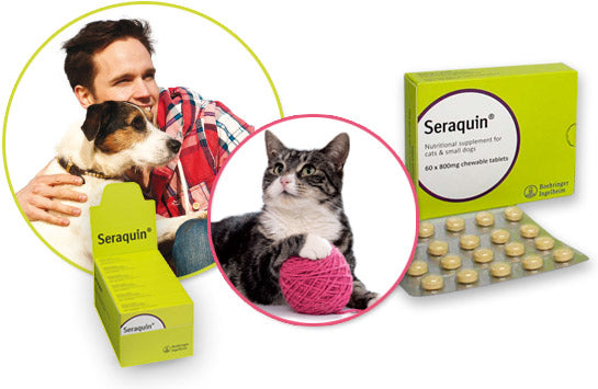 Seraquin 800 mg 60 tabletter för katter och små hundar
