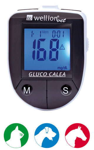 Wellion Vet Gluco Calea verensokerimittari