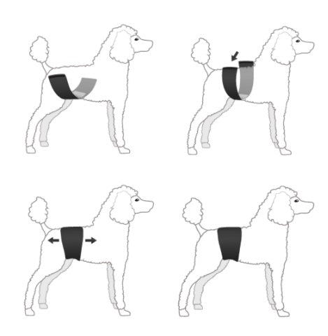 FinNero JustInCase inkontinensskydd för hanhund camo