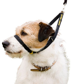 Canny Collar vedonestopanta musta 1