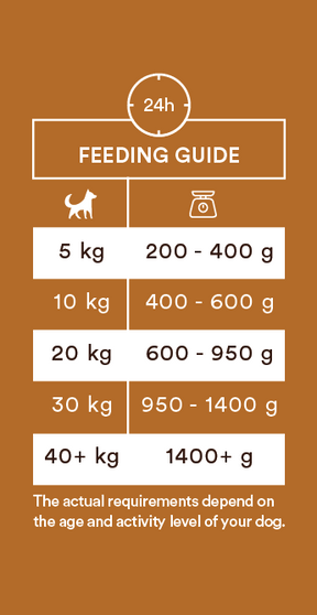 Monster Dog Adult Single Protein kalkon 400 g för hundar