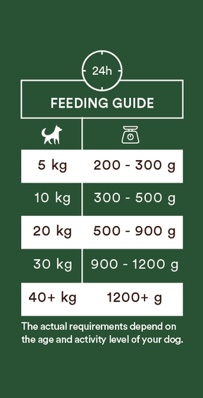 Monster Dog Adult Single Protein Lamb 6 x 400 g för hundar