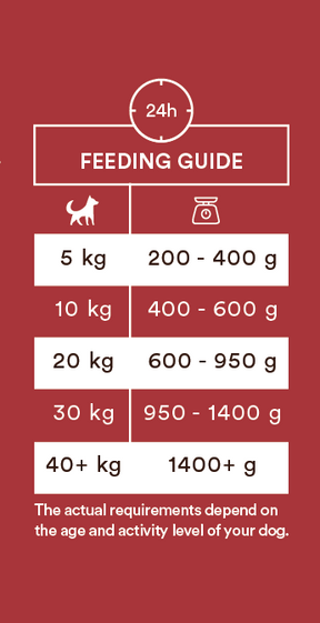 Monster Dog Adult Single Protein nöt 400 g för hundar