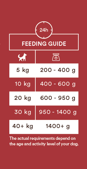 Monster Dog Adult Single Protein Beef 6 x 400 g
